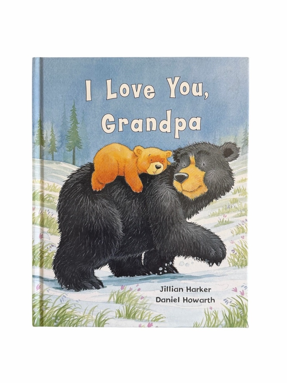 I Love You Grandpa Jillian Harker Daniel Howarth HC 2006 Parragon Ages 4-8